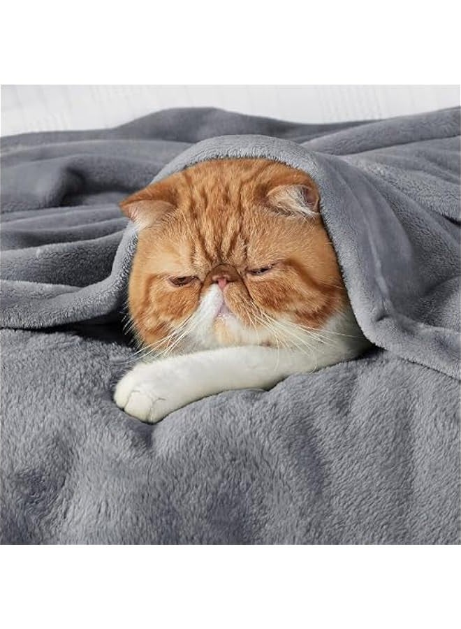 Beauenty Queen Fleece Blanket : 270GSM Super Soft Lightweight Bed Blanket Plush Fuzzy Cozy Luxury Microfiber Throw Blanket for Home Office Dorm Bed Sofa Chair Couch Travel Camping (Grey 230 * 200cm) - Image 5