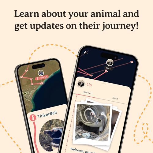 Fahlo Penguin Tracking Bracelet – Track a Real Penguin’s Journey – Supports Wildlife Conservation – Elastic, One Size Fits Most – on Interactive Mobile App Map – Unisex Conservation Gift (Sky Stone) - Image 5