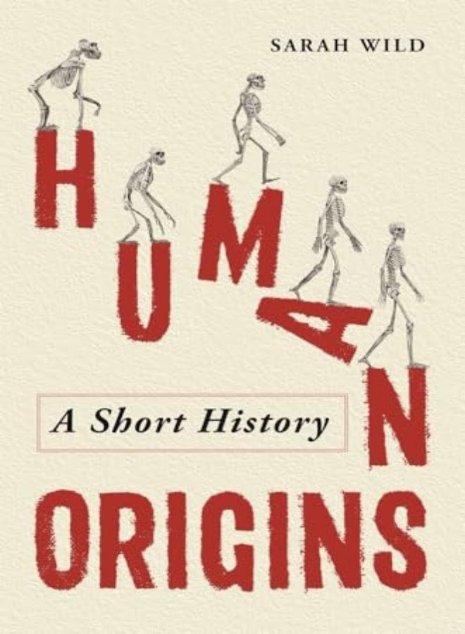 Human Origins by Sarah Wild Hardcover 