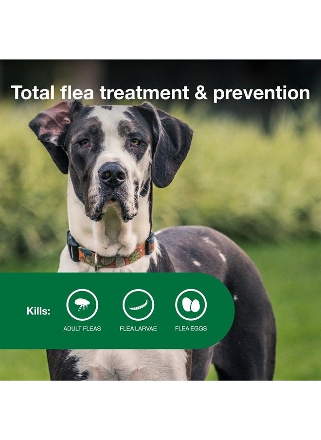 Advantage II XL Dog Vet-Recommended Flea Treatment & Prevention | Dogs Over 55 lbs. | 4-Month Supply 