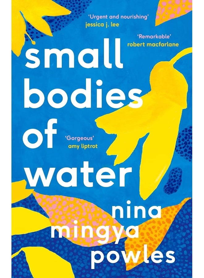 Small Bodies of Water 