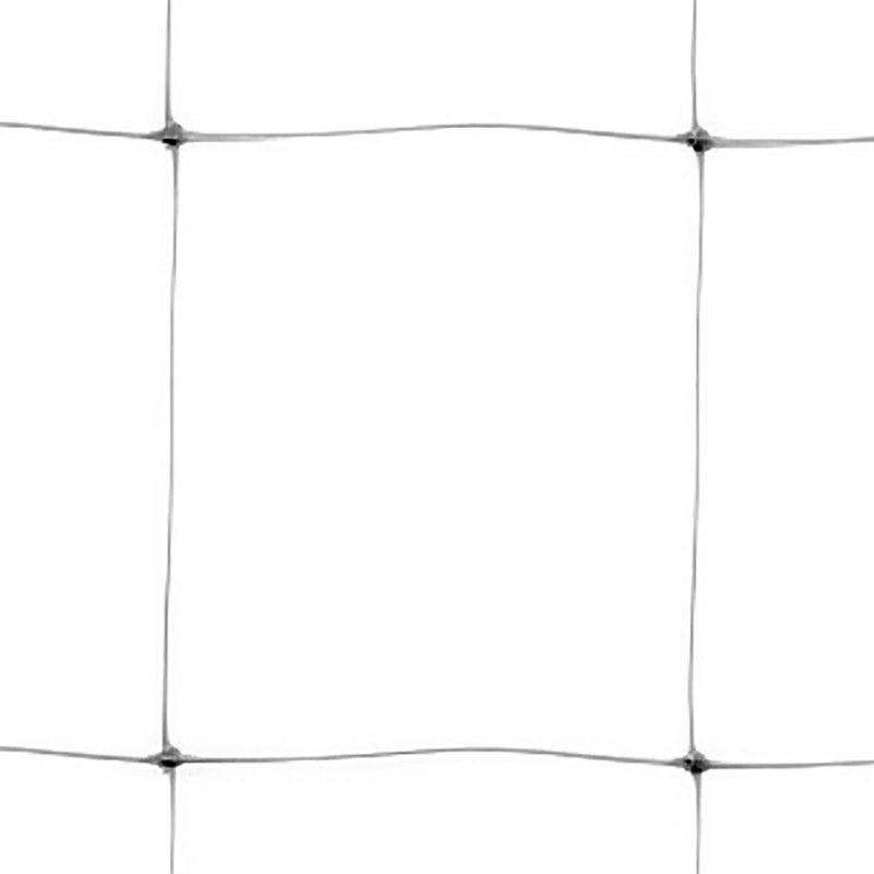Tenax TENAX Hortonova Trellis 65x100 White Net  - Image 2