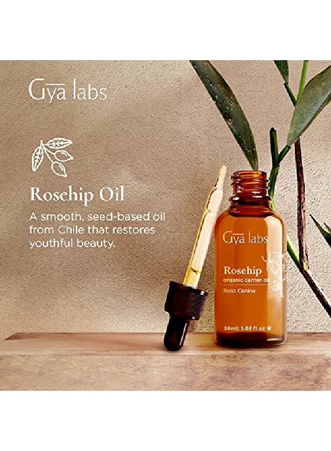 gya labs زيت ثمر الورد العضوي للبشرة الناضجة (1.02 أونصة سائلة) زيت ثمر الورد النقي ذو الدرجة العلاجية مثالي لجمال الشباب وترطيب الشعر للاستخدام على الشعر والبشرة - Image 3