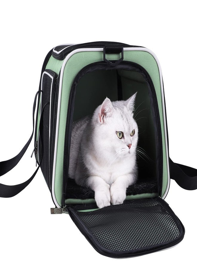 petisfam Top Load Cat Carrier for Medium Cats and Small Dogs with Washable Cozy Bed, 3 Doors and Shoulder Strap. Easy to get cat in, Easy Storage, Lightweight, Airline Approved - Image 1