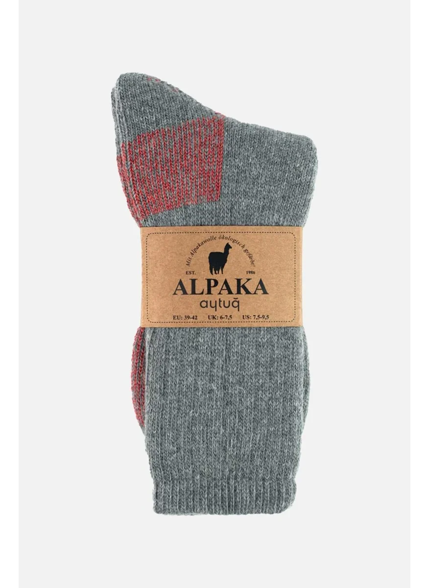 Aytuğ Unisex Alpaca Wool Towel Winter Gray/red Socks - A-6005