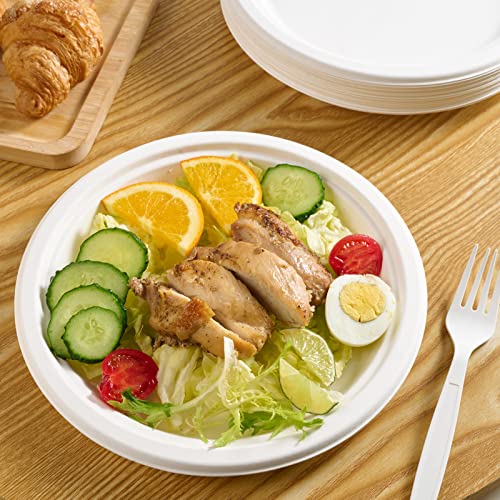 Vplus 150 Pack Paper Plates 9 inch 100% Compostable, Heavy-Duty Disposable Paper Plates Bagasse Natural Biodegradable Eco-Friendly Sugarcane（White） - Image 2