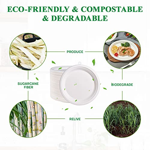 Vplus 150 Pack Paper Plates 9 inch 100% Compostable, Heavy-Duty Disposable Paper Plates Bagasse Natural Biodegradable Eco-Friendly Sugarcane（White） - Image 4