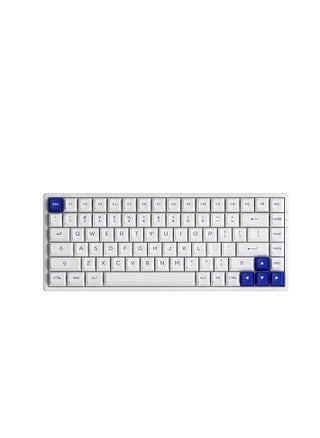 White / TTC Golden Blue