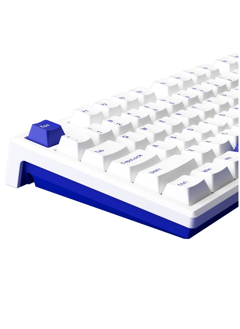 AKKO AKKO MonsGeek MG108B Blue on White Multi-Mode Wireless Keyboard - TTC Golden Blue  - Image 5