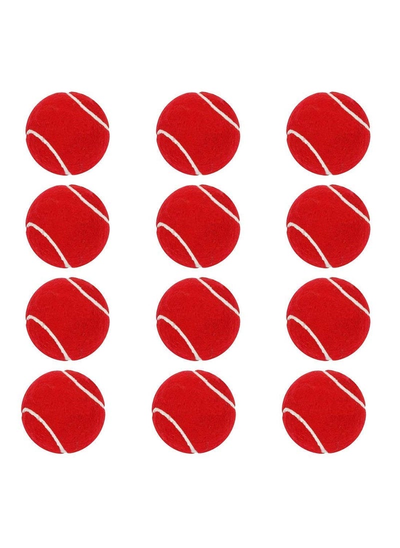 JTC JTC Tennis Rubber Ball for Cricket Light Weight Pack of 12 Red  - Image 1