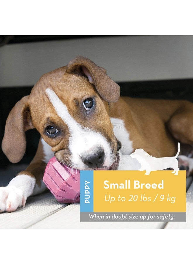 كونج كرة نشاط للجراء - لعبة كلاب من المطاط الطبيعي الناعم والمتين - لعبة مضغ للجراء التي تعاني من التسنين - تخفف آلام الأسنان واللثة - للجراء الصغيرة - ألوان متنوعة - Image 2