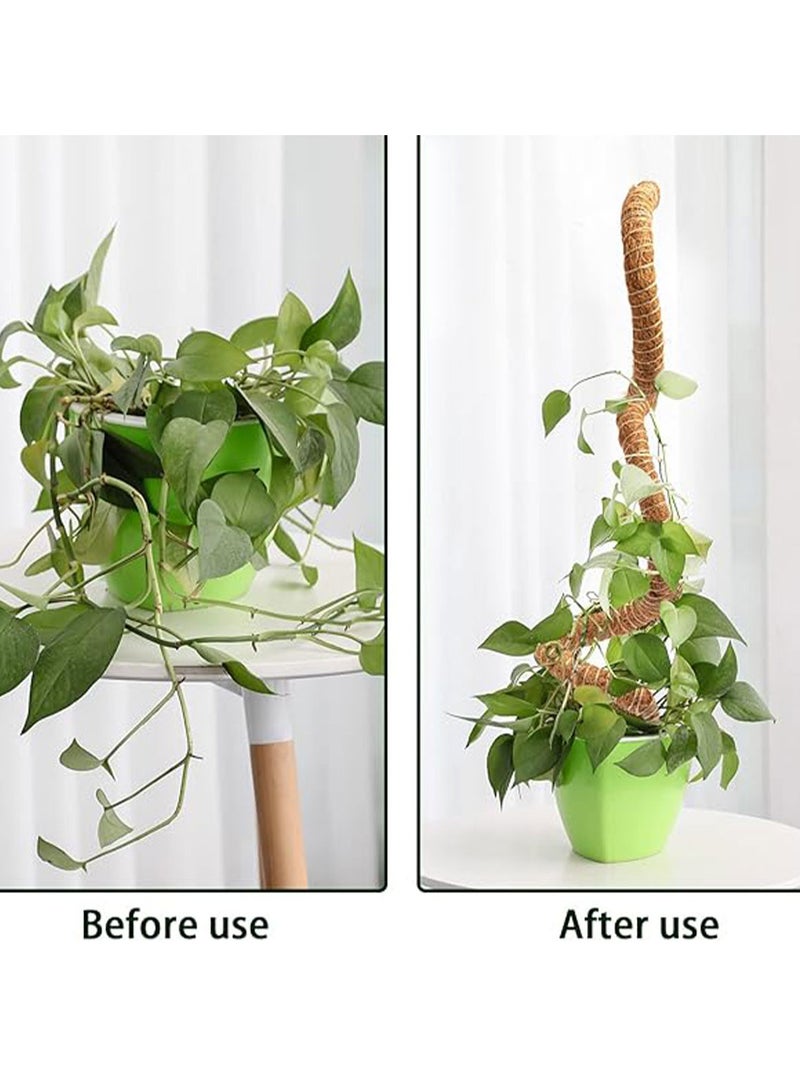 عامود مرن لتسلق و تجذير هوائي لنبات البوتس و مثيلاته 60سم - Image 5