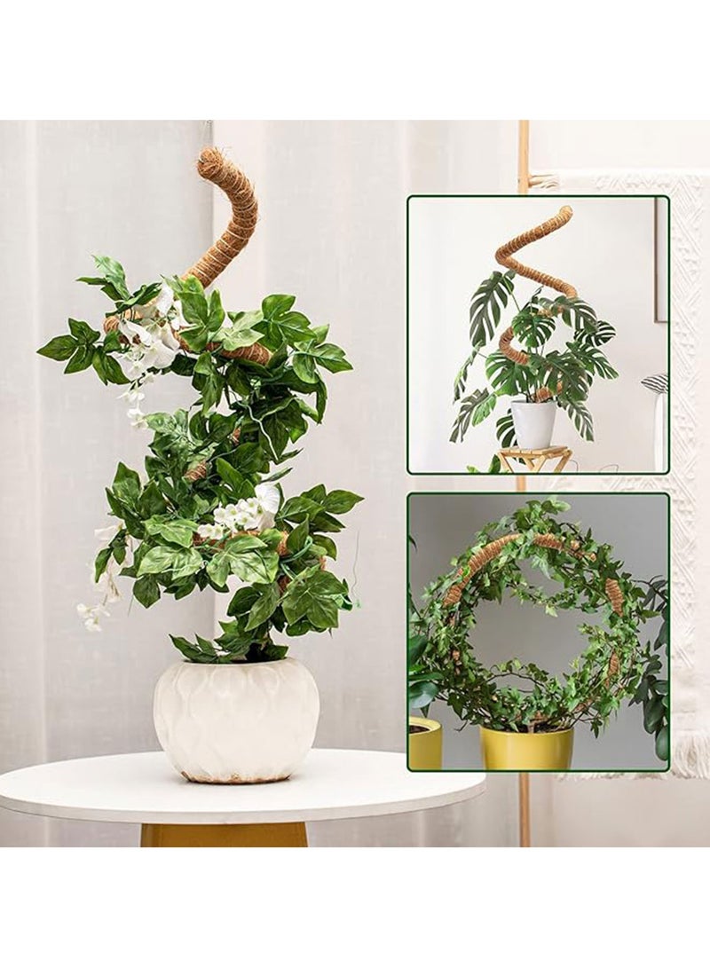 عامود مرن لتسلق و تجذير هوائي لنبات البوتس و مثيلاته 60سم - Image 4