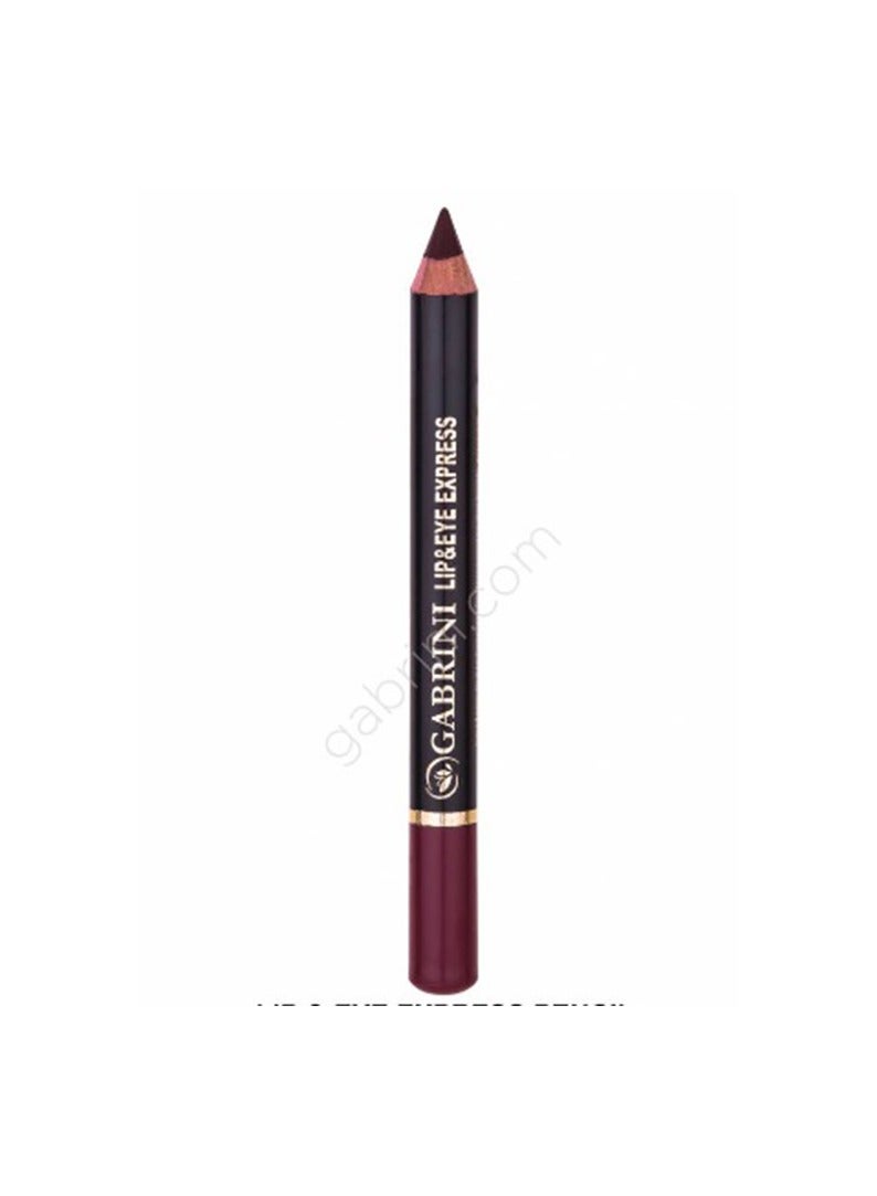 Gabrini Lip and Eye Express Pencil 131