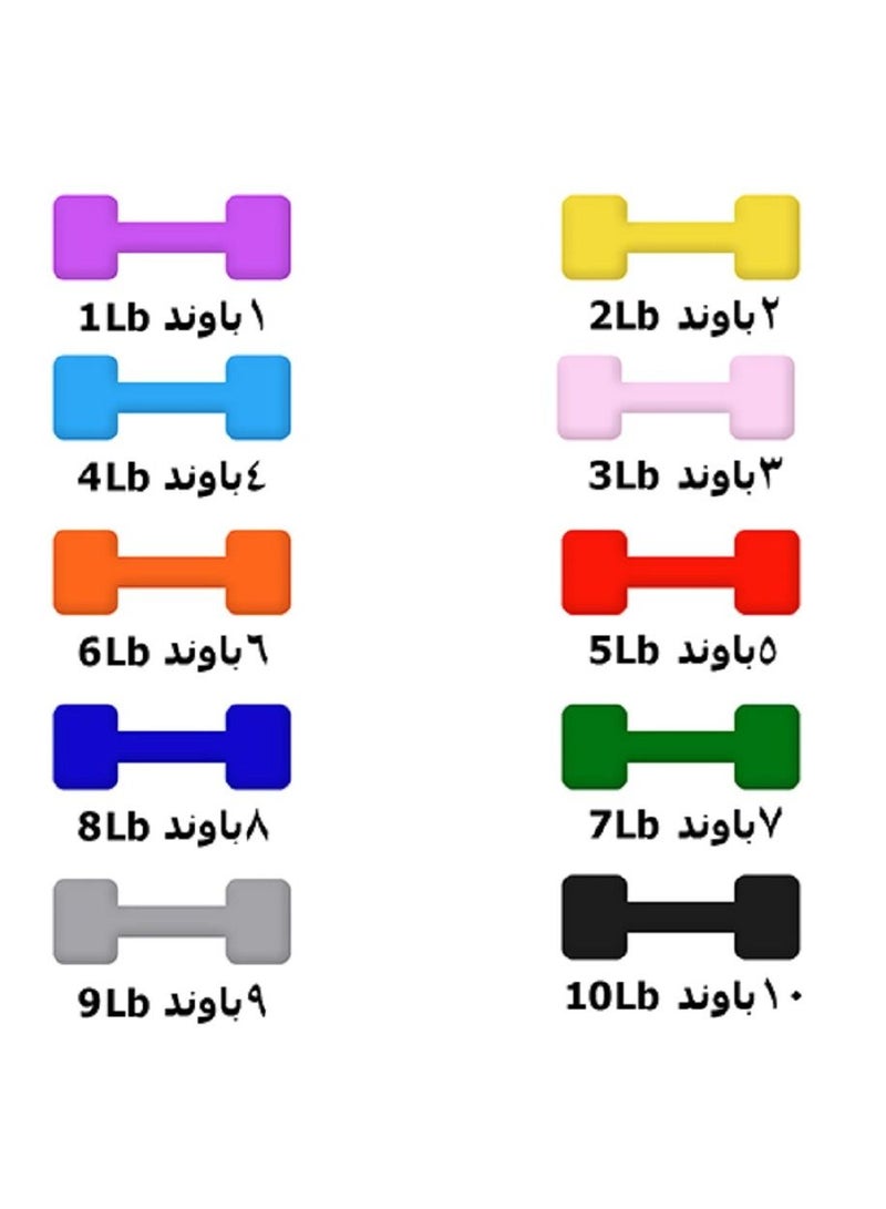 سبا كير سباكير دمبل اثقال 9 باوند - Image 2