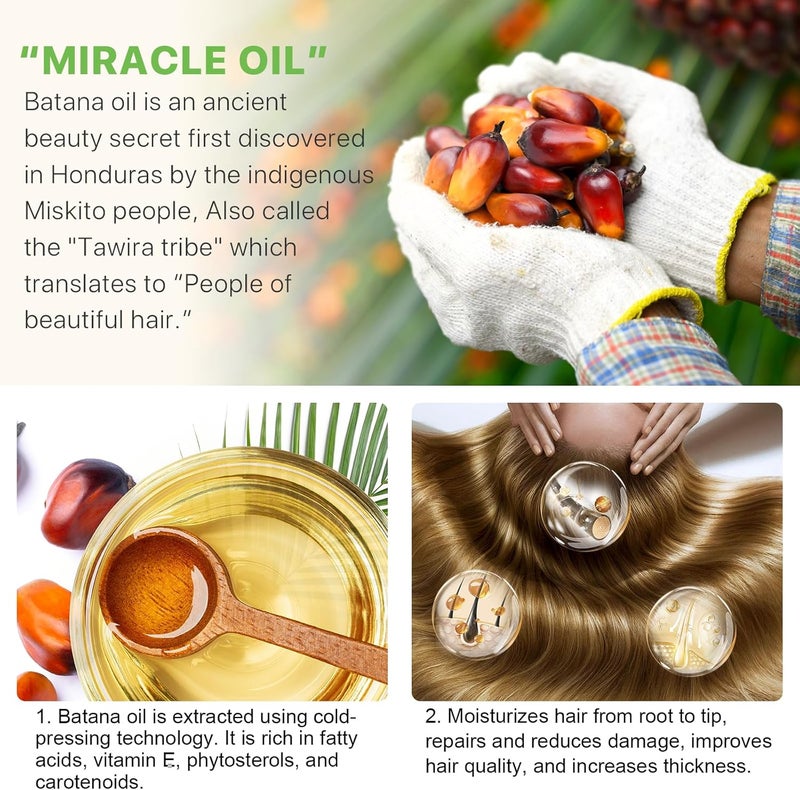 ELBBUB Raw Batana Oil for Hair Growth and Repair -100% Pure, Unrefined Oil from Honduran Rainforests Prevent Hair Loss and Enhances Hair Thickness in Men & Women - Image 5