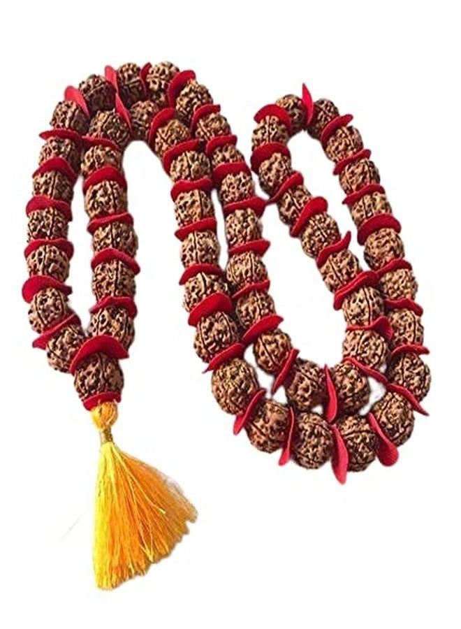Anshraj 100% Pure and Authentic 5 Mukhi Rudraksha (54 + 1 Beads) Jap Mala 9 MM. - Image 1