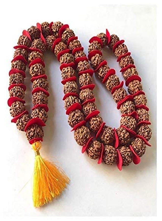 Anshraj 100% Pure and Authentic 5 Mukhi Rudraksha (54 + 1 Beads) Jap Mala 9 MM. - Image 2