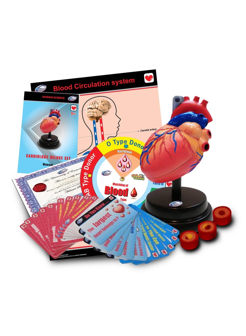 EASTCOLIGHT CARDIOLOGY DELUXE SET - Image 3