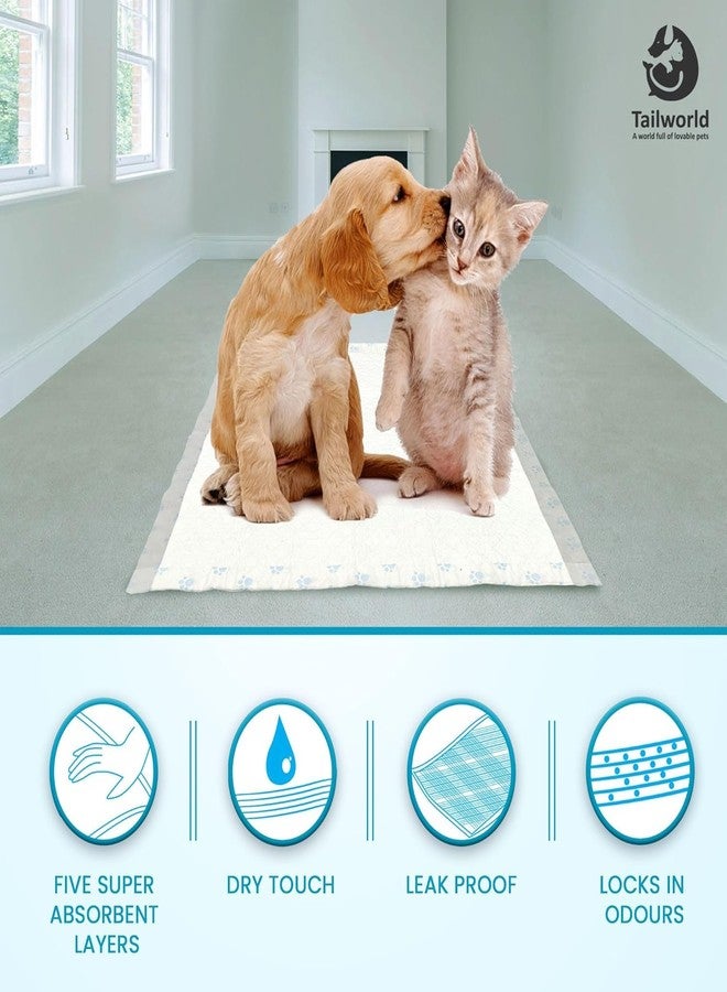 Tailworld Training Pads, with Odor Lock Technology & Super Absorbent Pee Pads, Leak-Proof Dog Potty Training Pads for Puppies, Dogs,Cats & Rabbits (60 X 60 cm) 50 Pcs - Image 5
