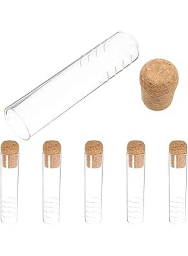 Glass Tea Infuser Strainer Tube With Cork Cap 6pcs Set For Loose Leaf Tea - Image 1