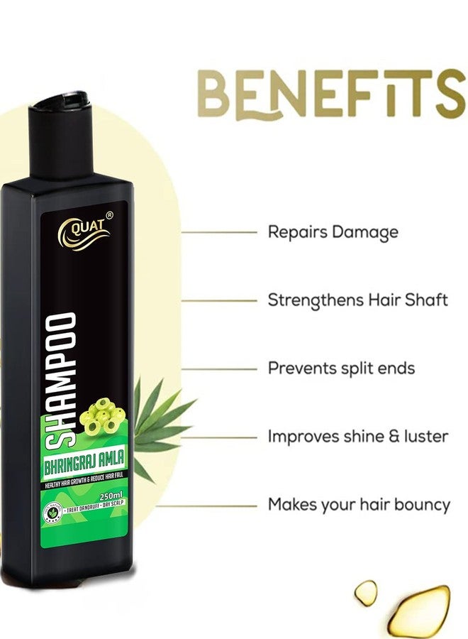 Quat Bhringraj-Amla hair shampoo for healthy hair growth and reduce hair fall (250ml) - Image 2