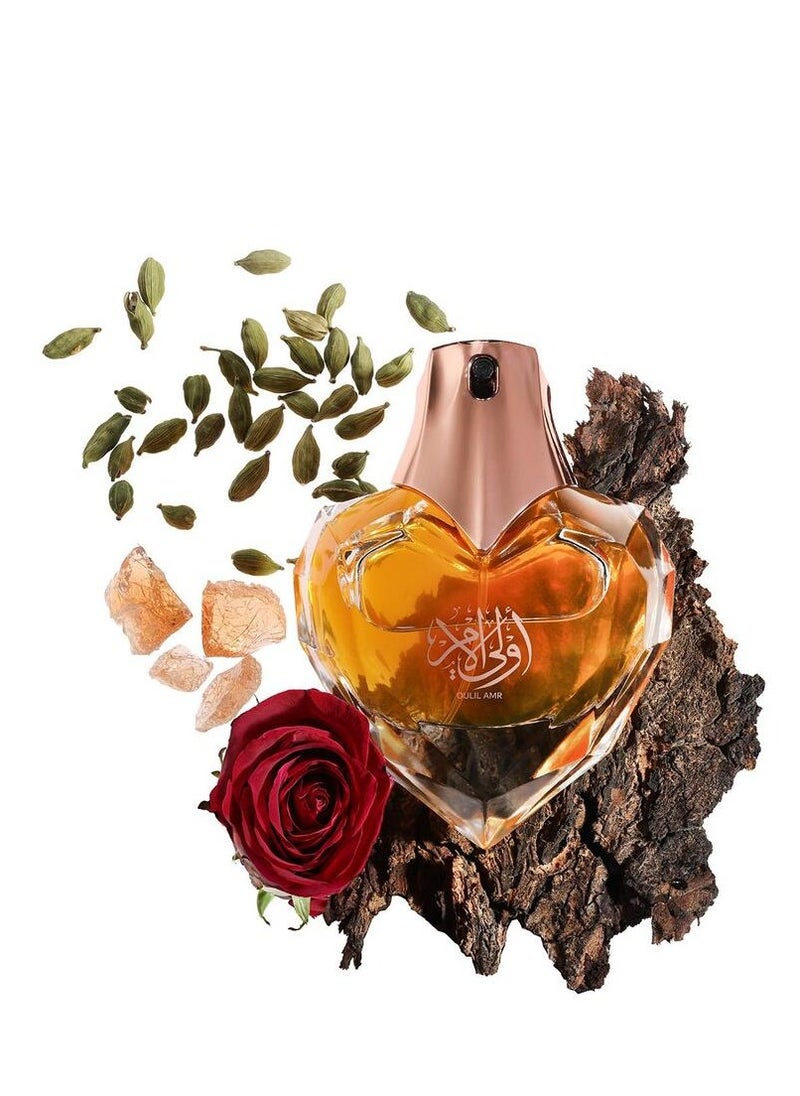 Ahmed Al Maghribi Oulil Amr  - Image 2