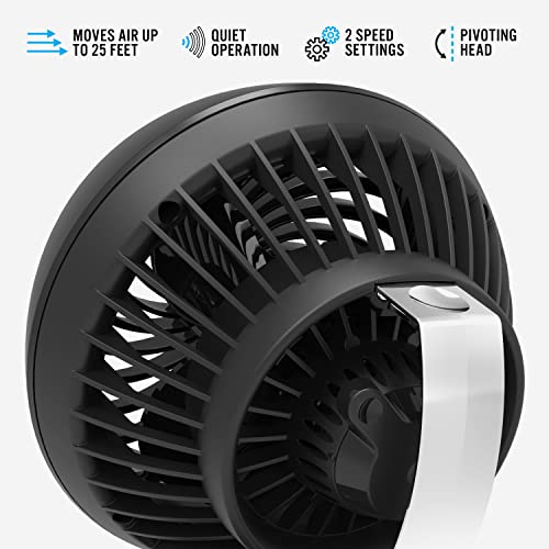 Vornado 160 Personal Air Circulator, Small Fan for Dorm, Desk, and Bedside, Powerful Personal Cooling, 2 Speed Settings, Vortex Air Circulation, Chrome Glide Bar, Multi-Directional Airflow, Black - Image 2