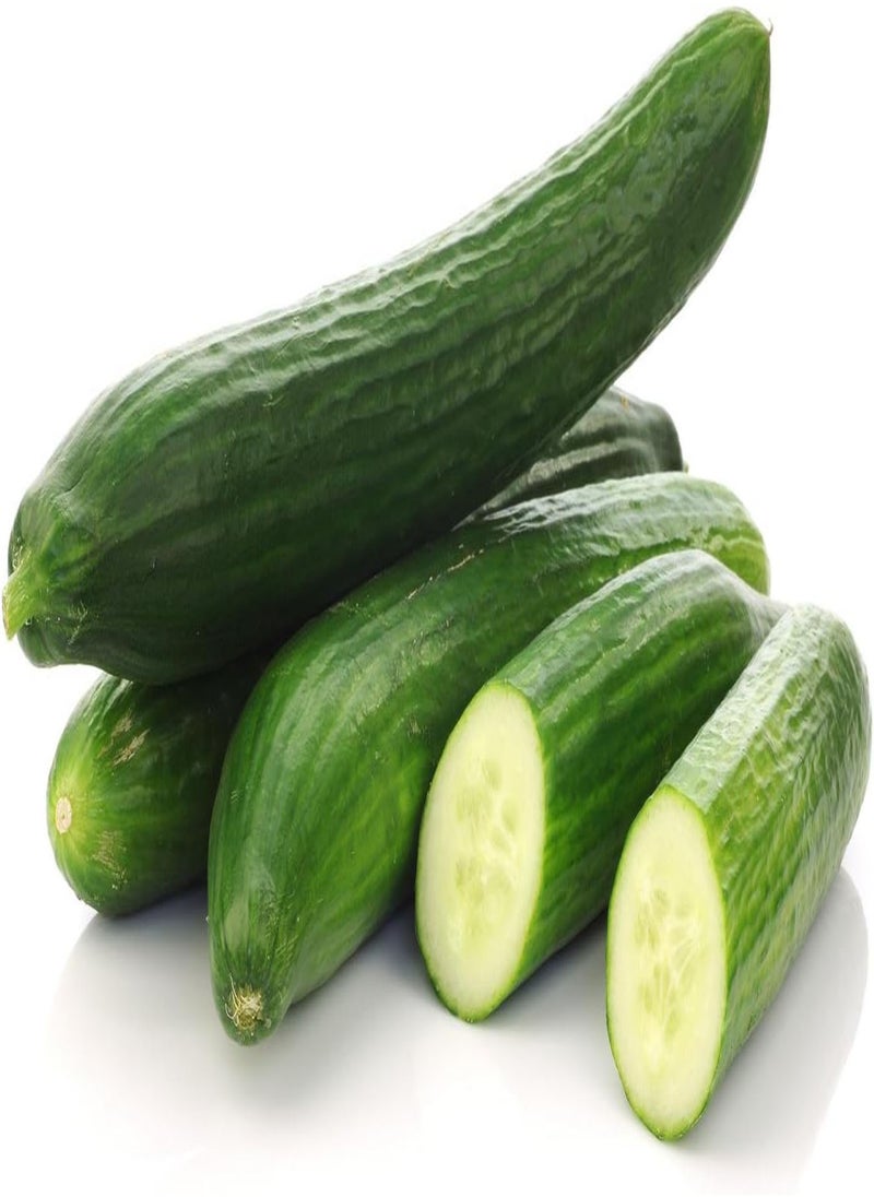 GGOOT - - Seeds Indoor Cucumber Self-Pollinated Long Zozula F1 45 Days Vegetable for Planting Non GMO - Image 1