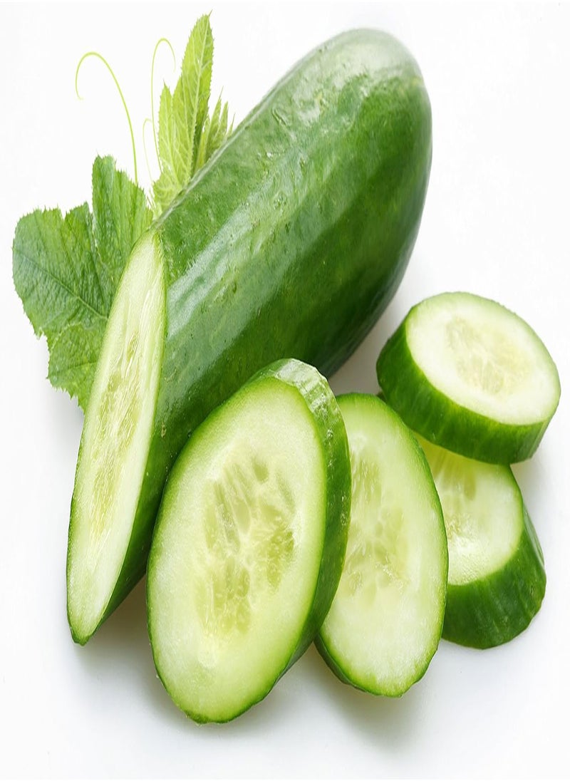 GGOOT - - Seeds Indoor Cucumber Self-Pollinated Long Zozula F1 45 Days Vegetable for Planting Non GMO - Image 1