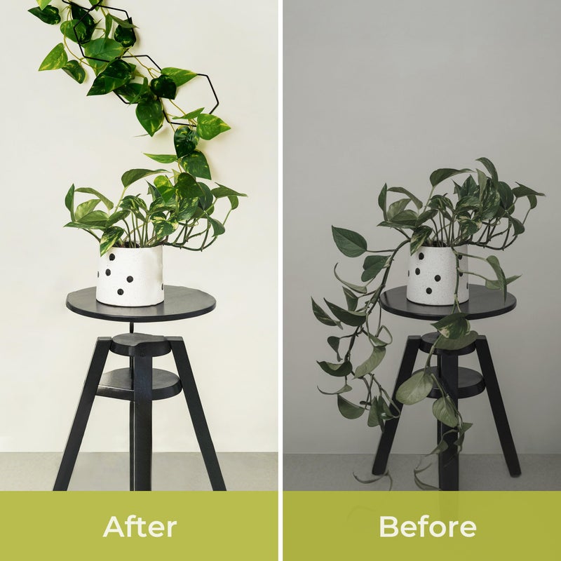 Filda Chain Trellis for Climbing Plants - Indoor & Outdoor House Plant Accessories for Monstera, Pothos, Ivy, and More | Garden Wall Trellis and Plant Vine Support - Houseplant Accessories and Plant Gifts - Image 4