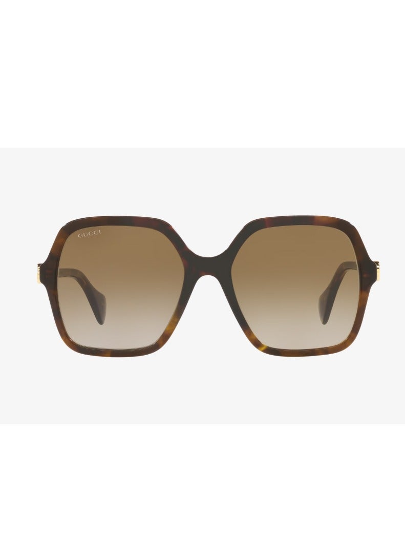 غوتشي نظارات شمسية غوتشي GG1072S 002 - Image 2