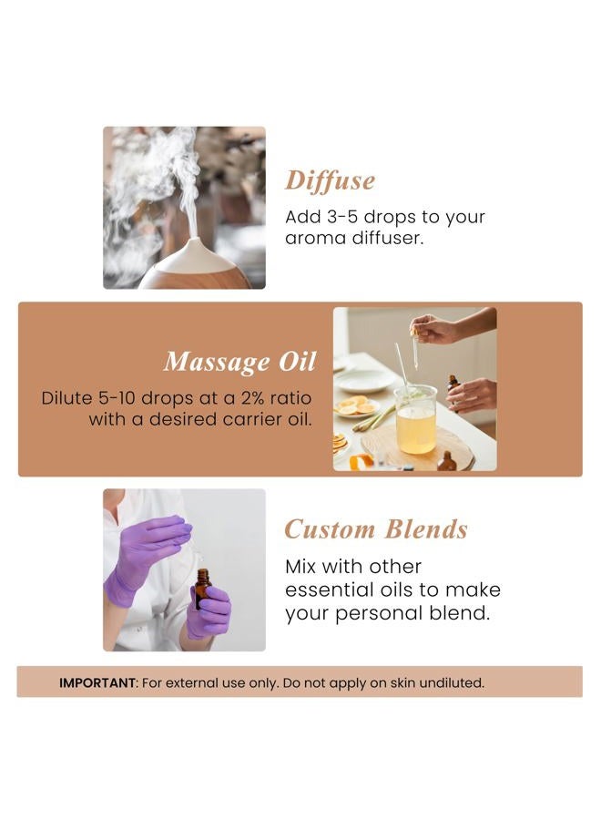 handcraft Blends Clove Leaf Essential Oil - 100% Pure and Natural - Premium Grade Essential Oil for Diffuser and Aromatherapy - 1 Fl Oz - Image 3
