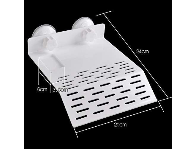 Sage Square Acrylic Platform Cum Basking Ramp for Aquarium with Suction Cup for Turtles/Reptiles/Aquarium/Small Amphibians (Design 1) - Image 3