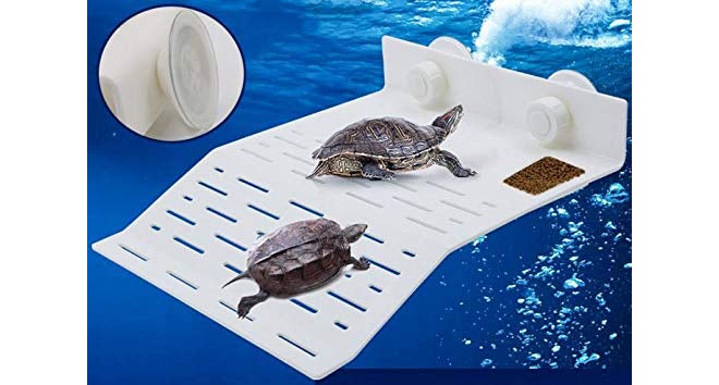 Sage Square Acrylic Platform Cum Basking Ramp for Aquarium with Suction Cup for Turtles/Reptiles/Aquarium/Small Amphibians (Design 1) - Image 2