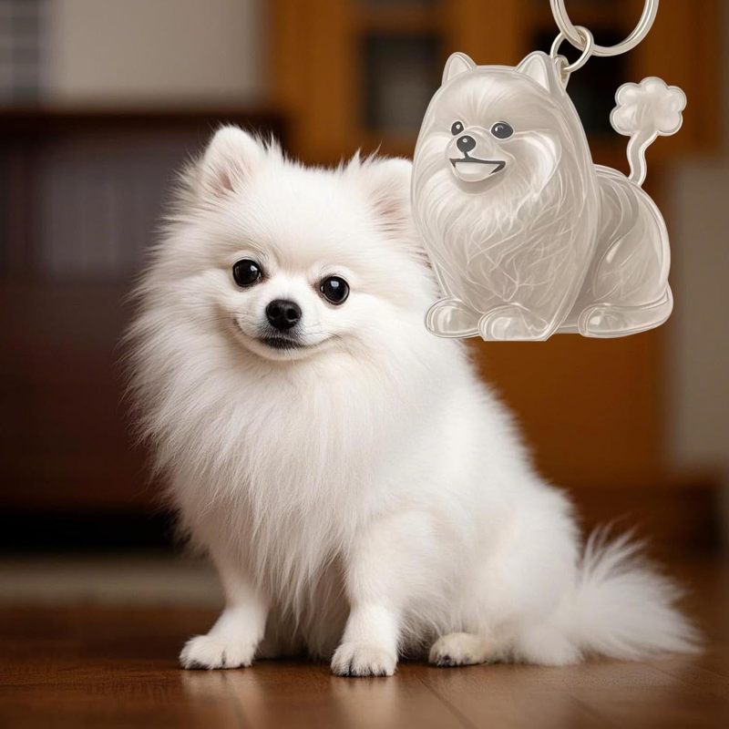 Pet Memorial Charm: L Size Resin Craft Secure Closure - Daily Wear Resistant Pet Keepsakes Container for Grieving Pet Owners - Image 3