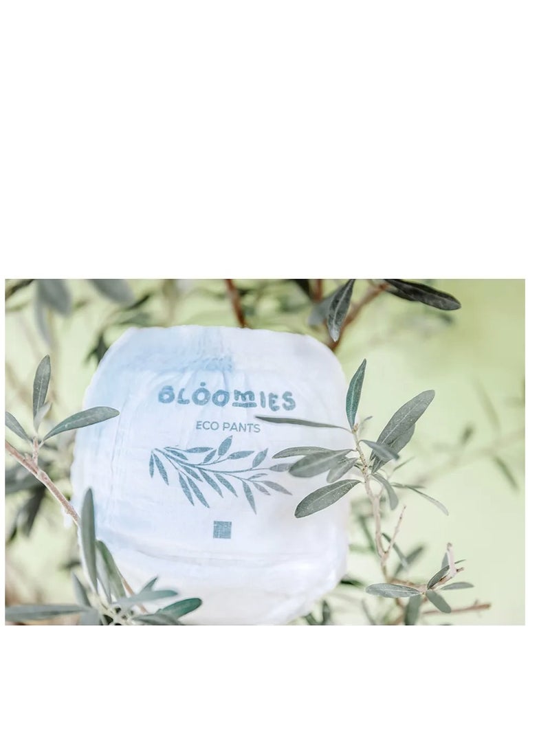 Bloomies Organic Bamboo Baby Pants Size 6 (15+kg baby) 66pcs (22X3) Bundle| Eco-friendly, Hypoallergenic, Non-toxic, Breathable Pullups - pzsku/ZCFC0648B90048906EC4BZ/45/_/1732611962/1e85cb49-1765-4d2d-8327-9635039428e5