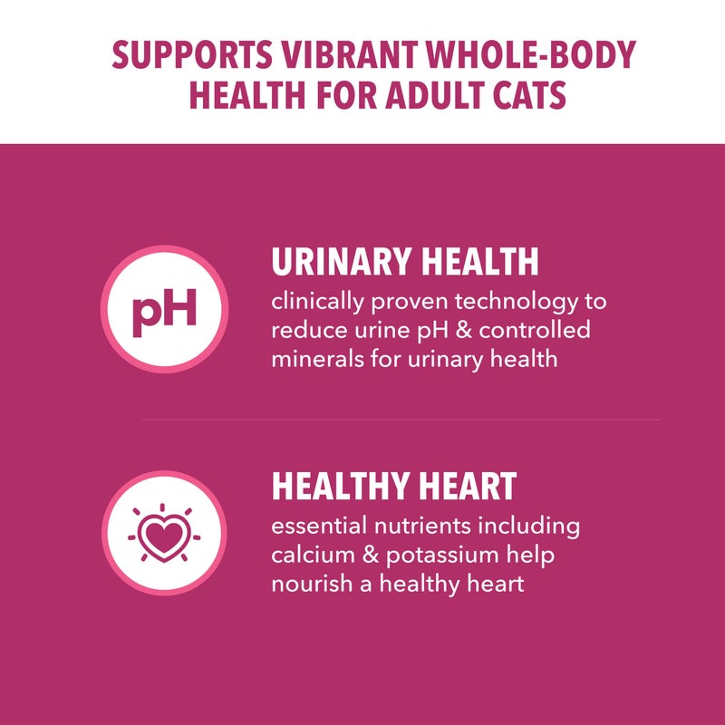IAMS Proactive Health Dry Cat Food, Urinary Tract Health, Adult Cat Food Dry Recipe with Chicken, 16 lb. Bag - Image 2