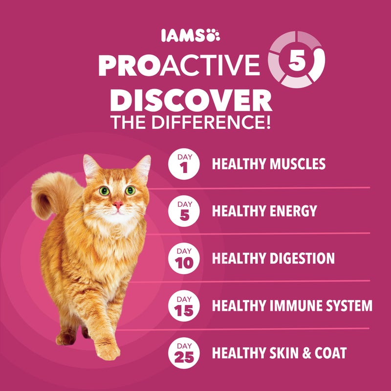 IAMS Proactive Health Dry Cat Food, Urinary Tract Health, Adult Cat Food Dry Recipe with Chicken, 16 lb. Bag - Image 5