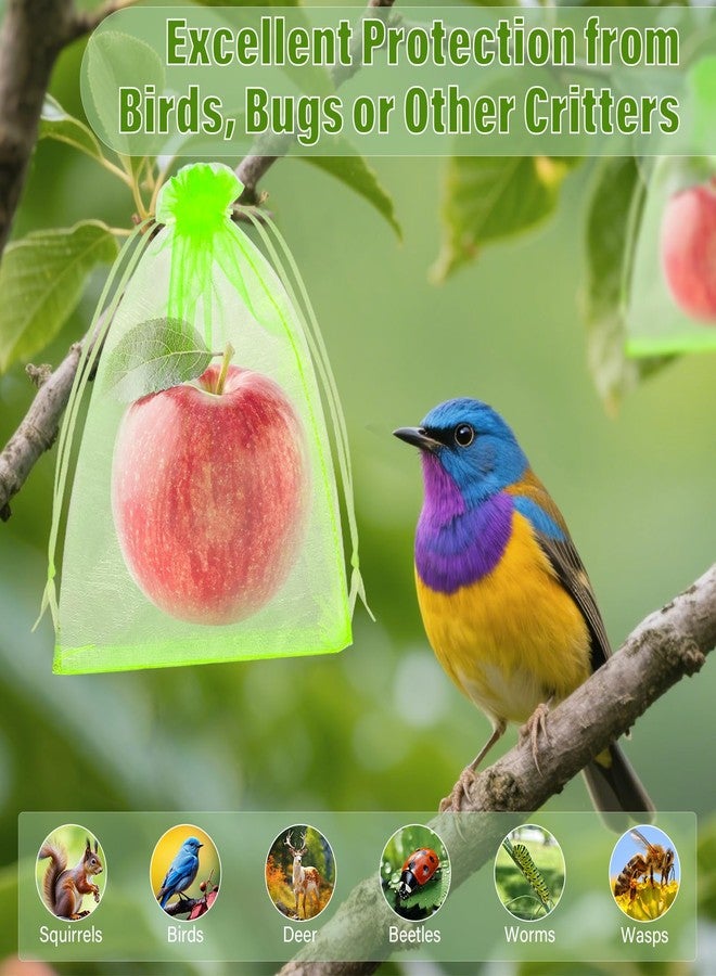 Jollidecor 120 PCS Fruit Protection Bags, 6 x 9in Green Drawstring Mesh Cover Bags, Fruit Protectors Pest Barrier Fruit Netting Bag for Fruit Trees to Protect Grapes Vegetables Tomato Mango Strawberry Garden - Image 4