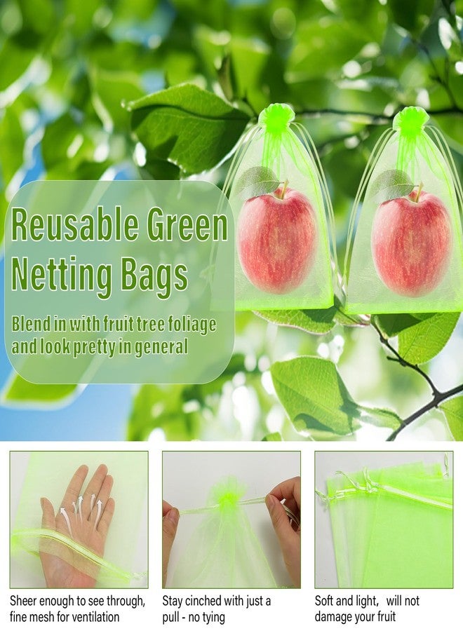 Jollidecor 120 PCS Fruit Protection Bags, 6 x 9in Green Drawstring Mesh Cover Bags, Fruit Protectors Pest Barrier Fruit Netting Bag for Fruit Trees to Protect Grapes Vegetables Tomato Mango Strawberry Garden - Image 3