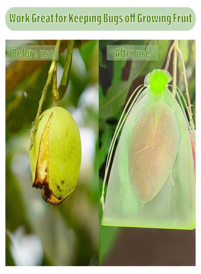 Jollidecor 120 PCS Fruit Protection Bags, 6 x 9in Green Drawstring Mesh Cover Bags, Fruit Protectors Pest Barrier Fruit Netting Bag for Fruit Trees to Protect Grapes Vegetables Tomato Mango Strawberry Garden - Image 5