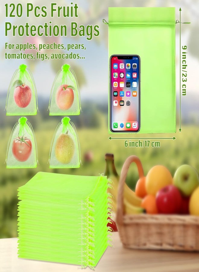 Jollidecor 120 PCS Fruit Protection Bags, 6 x 9in Green Drawstring Mesh Cover Bags, Fruit Protectors Pest Barrier Fruit Netting Bag for Fruit Trees to Protect Grapes Vegetables Tomato Mango Strawberry Garden - Image 2