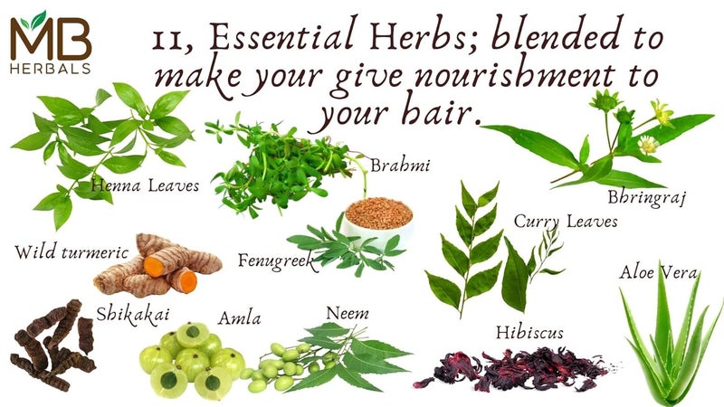 MB Herbals عبوة تعزيز نمو الشعر بالأعشاب من MB Herbals حناء من راجستان ممزوجة بـ 10 أعشاب 250 جرام للاستخدام الخارجي فقط - Image 3
