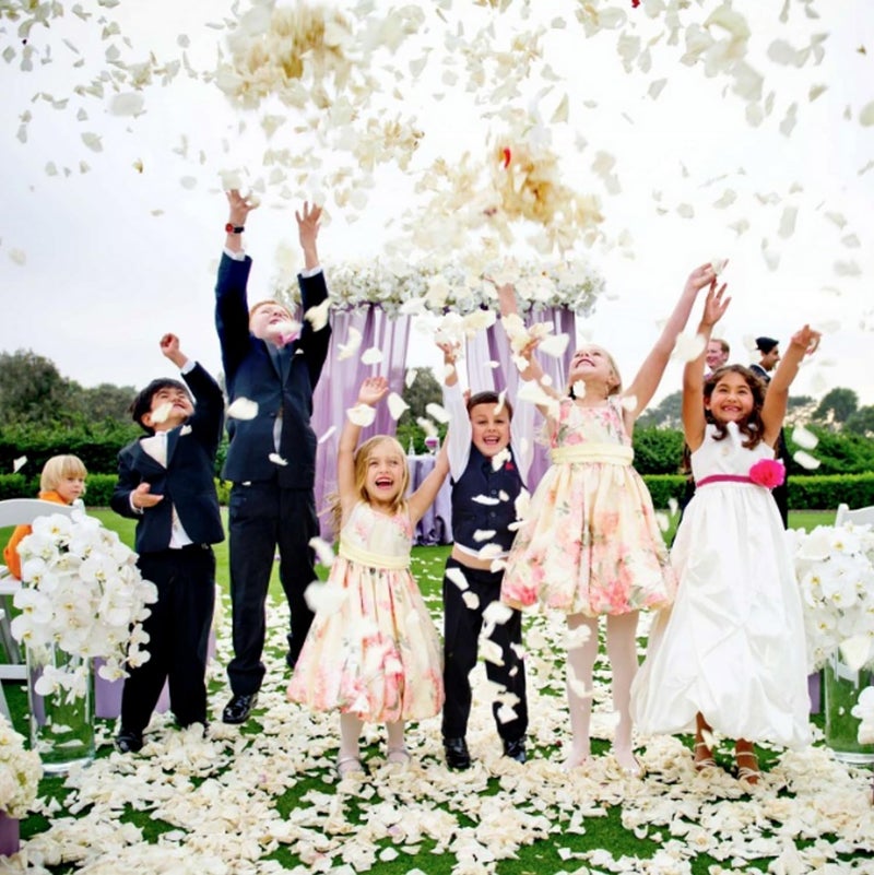 CODE FLORIST 2200 PCS Silk Flower Rose Petals for Wedding Decorations (Ivory) - Image 2