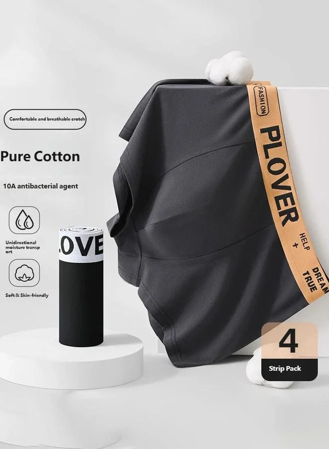 Take Two  Pack of 4 - Printed Waistband Boxer Briefs for Men | Best Price UAE