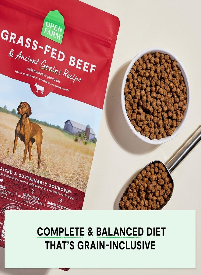 Open Farm أوبن فارم، طعام جاف للكلاب من الحبوب القديمة، غني بالبروتين والعناصر الغذائية، 90% بروتين حيواني ممزوج بفواكه وخضراوات وأطعمة فائقة غير معدلة وراثيًا، وصفة لحم بقري مُغذى على العشب، كيس 4 أرطال - Image 2