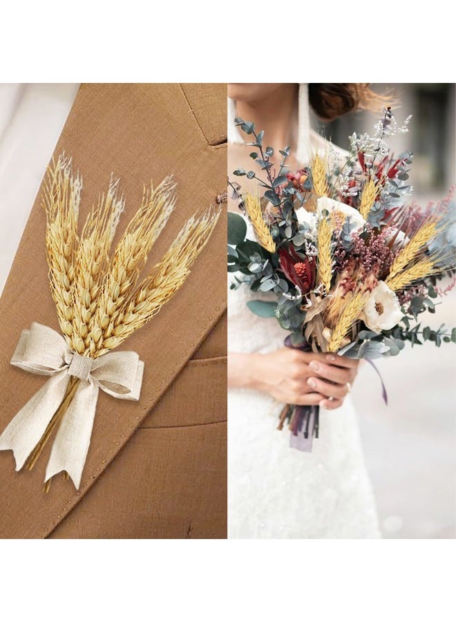 Phliofd 20.5 inches Dried Wheat Stalks, 100 Stems Dried Flowers 100% Natural Wheat for Home Kitchen Office Flowers Arrangement Wedding Table Christmas Farmhouse Boho Party Fall Décor - Image 3