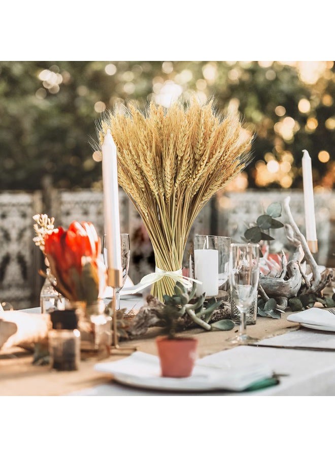 Phliofd 20.5 inches Dried Wheat Stalks, 100 Stems Dried Flowers 100% Natural Wheat for Home Kitchen Office Flowers Arrangement Wedding Table Christmas Farmhouse Boho Party Fall Décor - Image 5