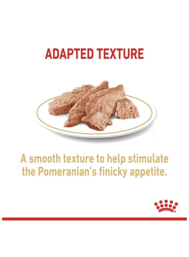 رويال كانين تولد الصحة التغذية صغير طويل الشعر الغذاء الرطب الحقائب - Image 2